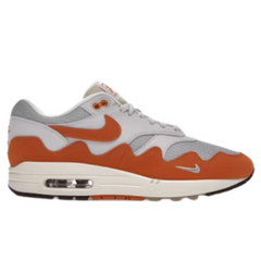 Nike Concepts Air Max 1 SP Sneakers / Trainers Brown / White / Gray