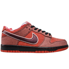 Concepts x Nike Dunk Low SB Sneakers / Trainers Red / Brown / Black