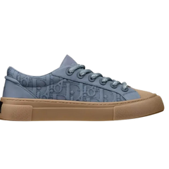 Christian Dior X Stone Island B33 Blue / Brown