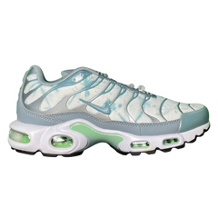 Nike Air Max Plus TN / Tuned Plus Sneakers / Trainers White / Gray / Blue